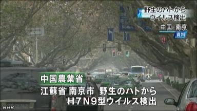 NHK20130417